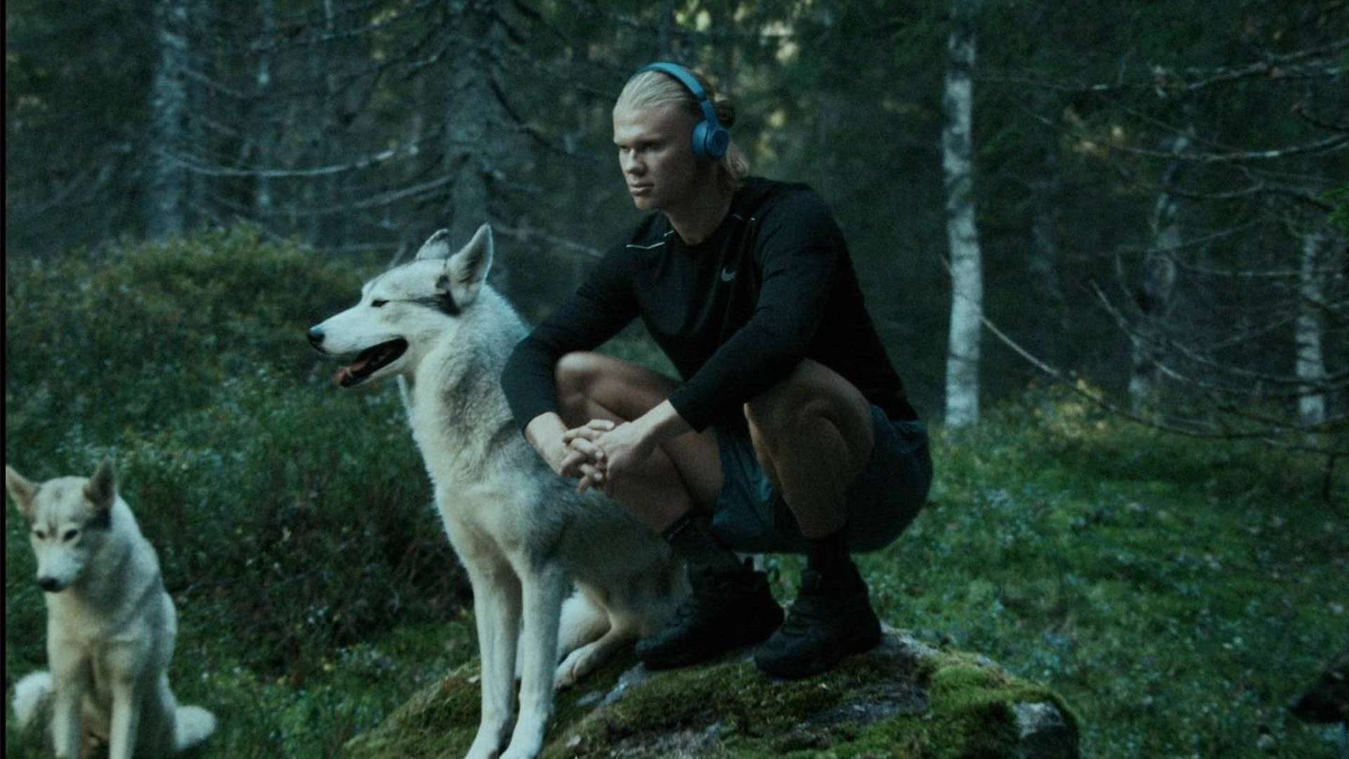 哈登30+6莱昂纳德复出17分 快船胜公牛.